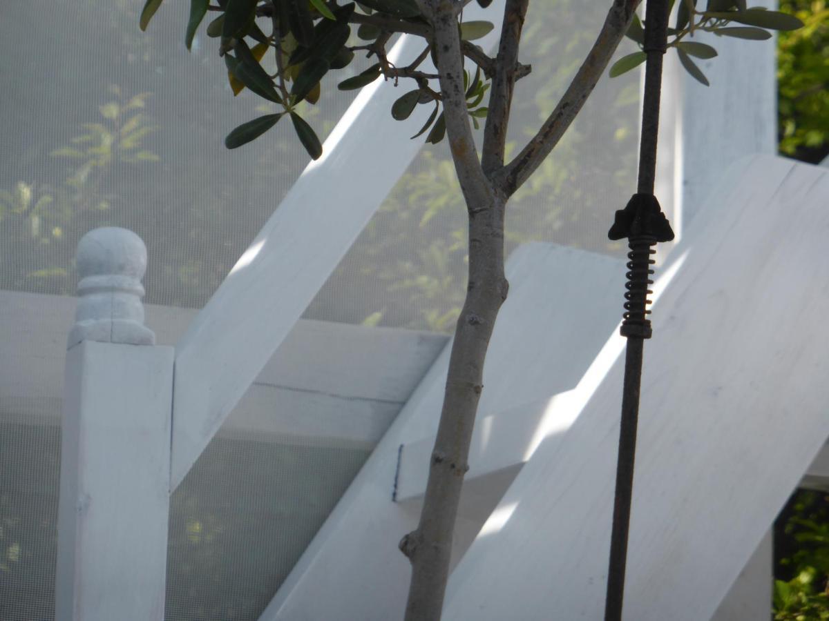 Ferienhaus-Alonissos-Griechenland Alónnisos Esterno foto